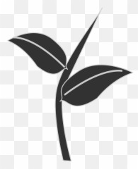 White 2 - Zekrom Transparent Png,Pokemon Black 2 Logo