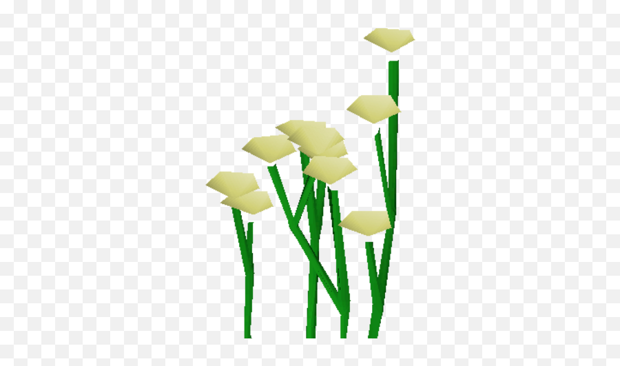 Daffodils - Laceleaf Png,Daffodil Icon