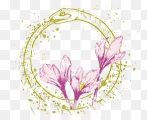 Lux Projects Photos Videos Logos Illustrations And - Girly png