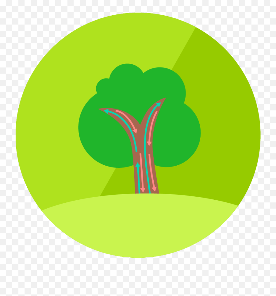 Lesson Icon - Vertical Png,Habitat Icon