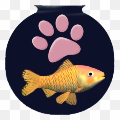 Aquabot Shopping Online In Karachi Lahore Islamabad - Goldfish png