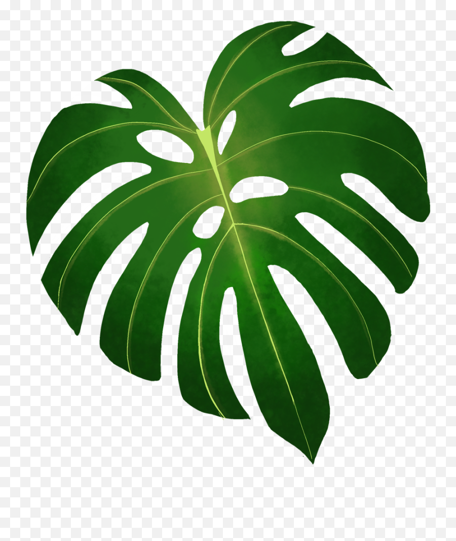 Terms And Conditions U2013 Thinspace Naturals Llc - Vertical Png,Tropical Icon