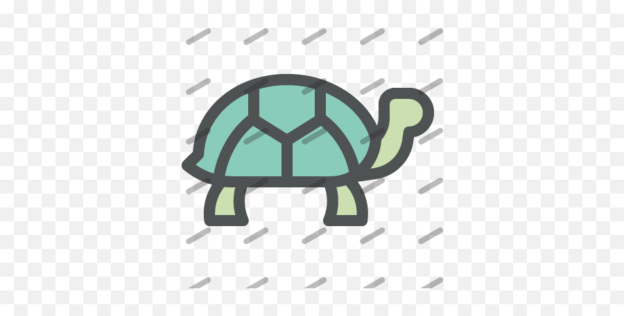 Turtle Icon Iconbros - Galápagos Tortoise Png,Turtle Icon Png