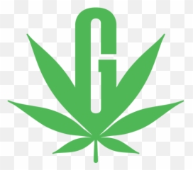 Momindex Png