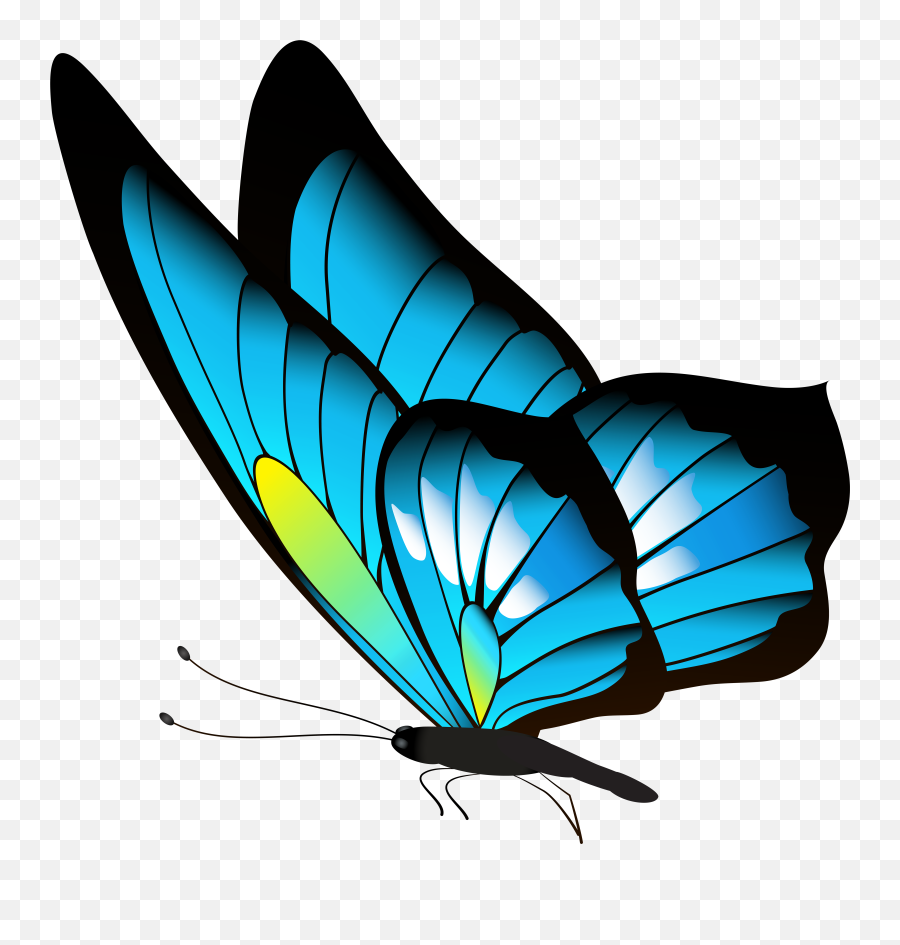 Download Hd Blue Butterfly Png - Borboleta Azul Png Butterfly Png,Blue Butterfly Transparent Background