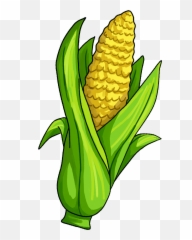 Vegetables Clipart Corn - Single Vegetables And Fruits Clipart Png,Corn Transparent