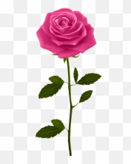 Download Red Rose Petals Png - Pink With Stem Purple