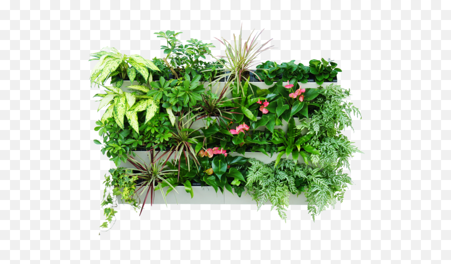 Simply Farm Modular Vertical Garden Hydrofalls - Vertical Garden Plants Png,Green Wall Png