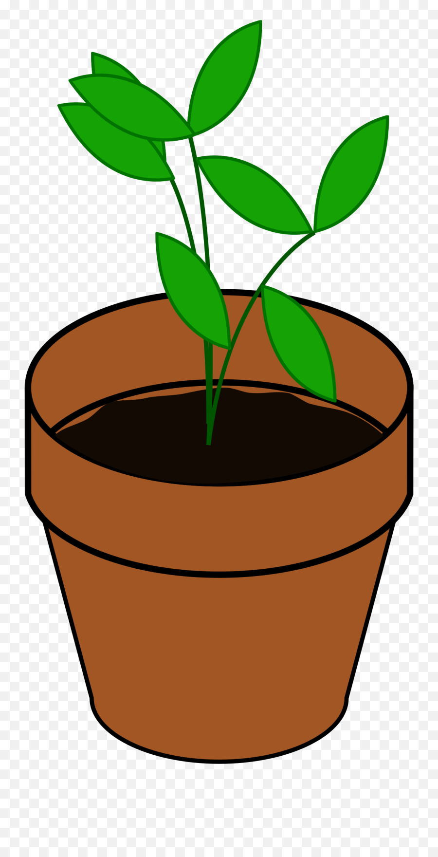 Download Pot Plant Clipart Terracotta - Plant Clip Art Png Potted Plant Clip Art,Plant Clipart Png
