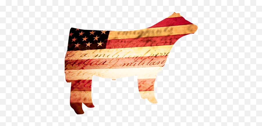 Download Happy 4th Of July - Livestock 4th Of July Full Flag Of The United States Png,Happy 4th Of July Png