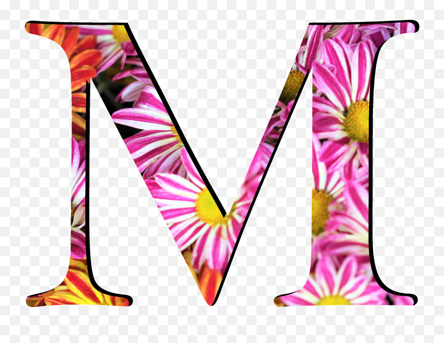 Flower Pattern Letters M - Clip Art Png,Letter M Png