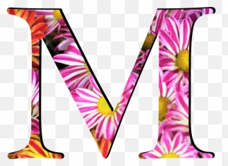 Flower Pattern Letters M - Clip Art png