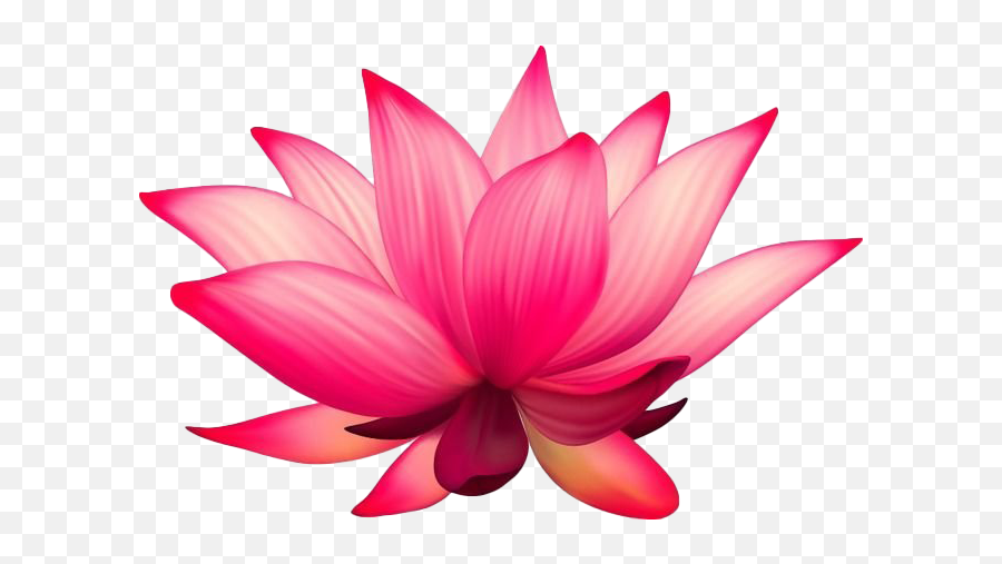Lotus Transparent - Flower Lotus Png,Lotus Transparent