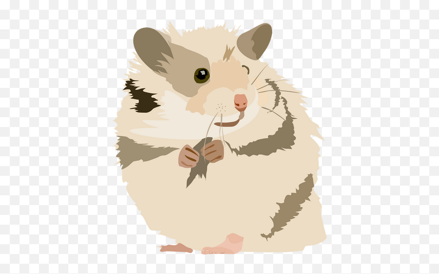 Hamster Cute Sweet Animal Pet - Pets In English Vocabulary Png,Hamster Png
