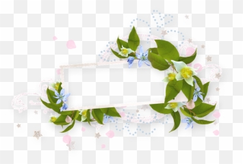 Download Hd Spring Bloom - Flower Png,Honeysuckle Png