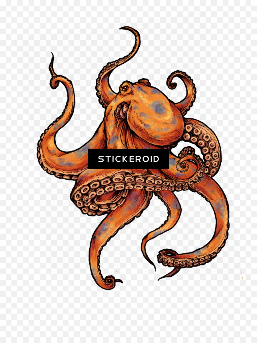 Octopus Tattoo Design Tattoos - Octopus Tattoo Design Png,Octopus Transparent