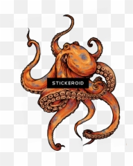 Octopus Tattoo Design Tattoos - Octopus Tattoo Design Png,Octopus Transparent