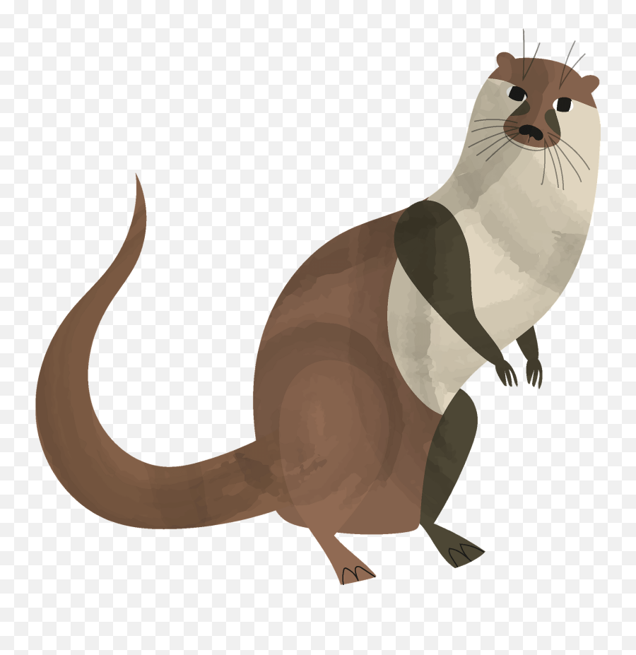 Otter Clipart - North American River Otter Clipart Png,Otter Png