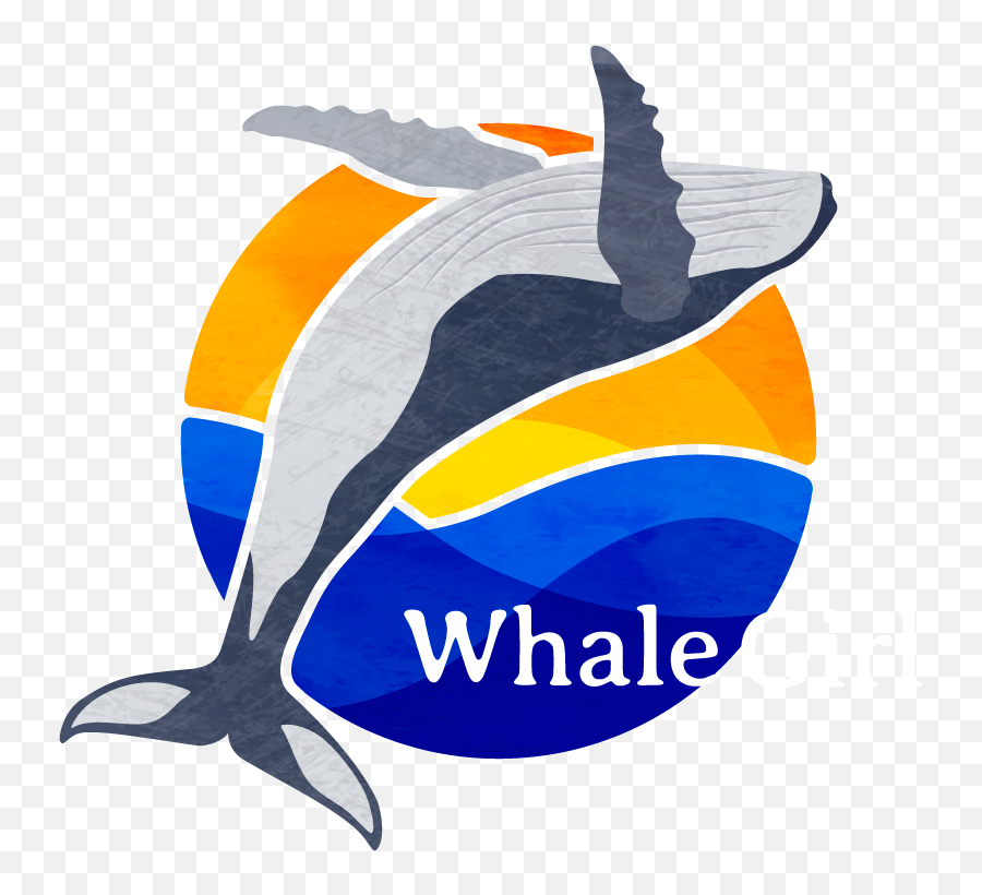 Whalegirl - Common Dolphins Png,Whale Transparent