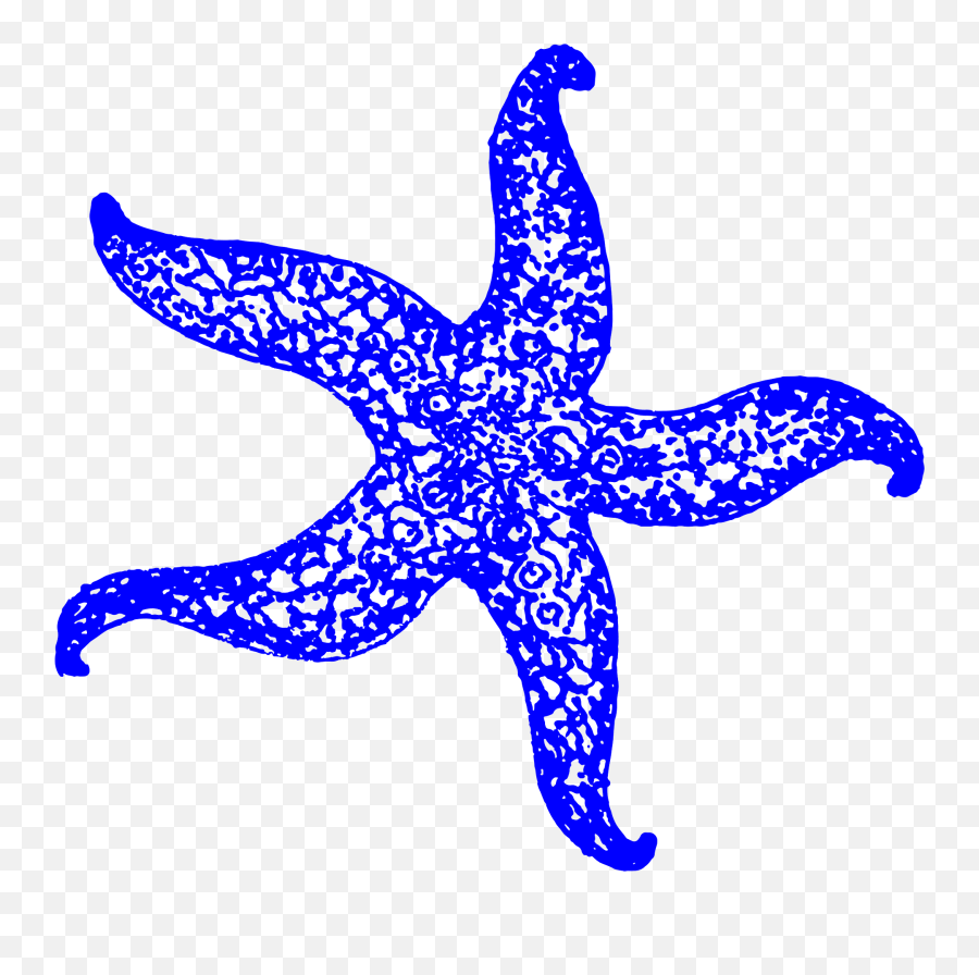 Starfish Clipart Free Download Transparent Png Creazilla - Portable Network Graphics,Starfish Clipart Png