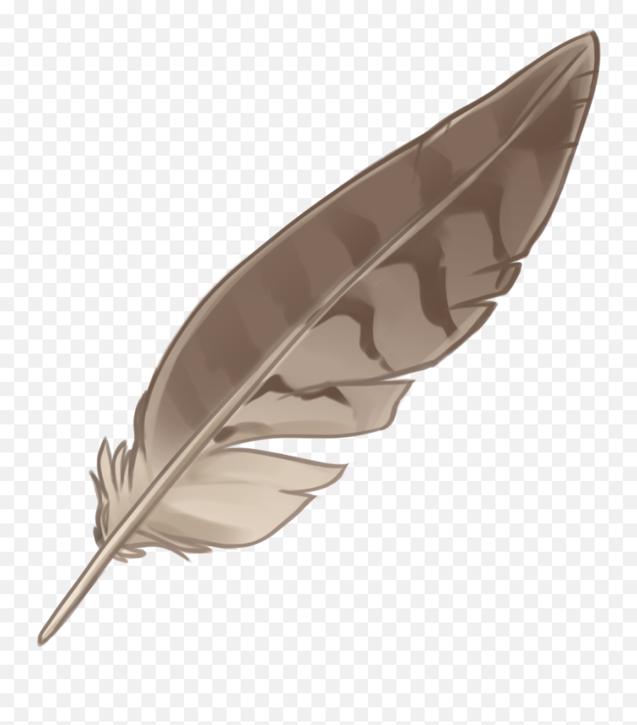 Eagle Feather Law Portable Network - Eagle Feather Transparent Background Png,Eagle Feather Png