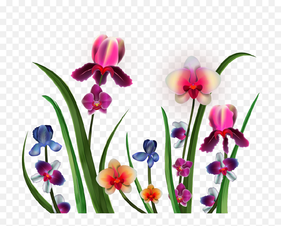 Png Vector Delicate - Orchids,Orchids Png