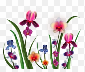 Png Vector Delicate - Orchids,Orchids Png