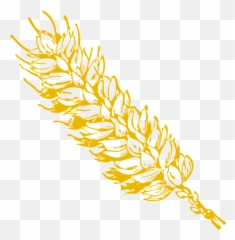 Wheat Grains Grain - Clip Art Png,Grains Png
