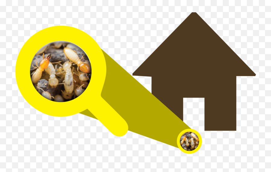 Bahrain Pest Control - Dog Clipart Full Size Clipart Mixture Png,Dog Clipart Transparent