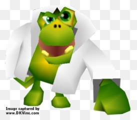 Dk Vine U2022 Gallery Banjo - Kazooie Klungo png