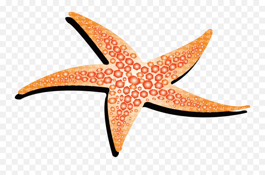 Drawing Starfish Colour - Estrelal De Mar Animada Png,Starfish Transparent