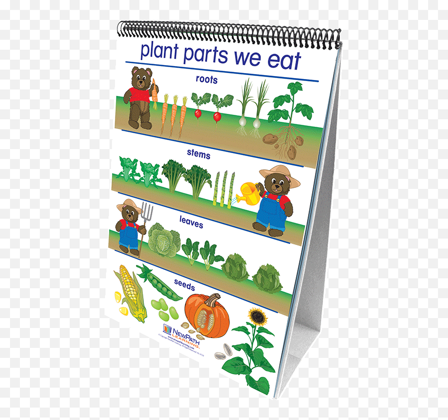 All About Plants Curriculum Mastery Flip Chart Set - Parts School Flip Chart Png,Flip Chart Icon