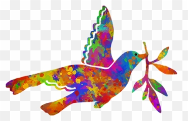 Dove With Olive Branch T - Shirt Hummingbird png
