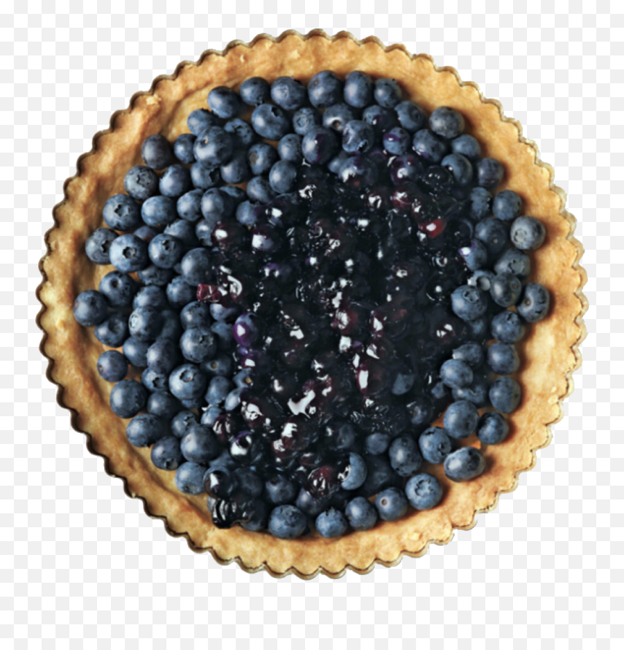 Blue Blueberry Pie Polyvore Moodboard Filler Food Png - Blueberry,Pie Png