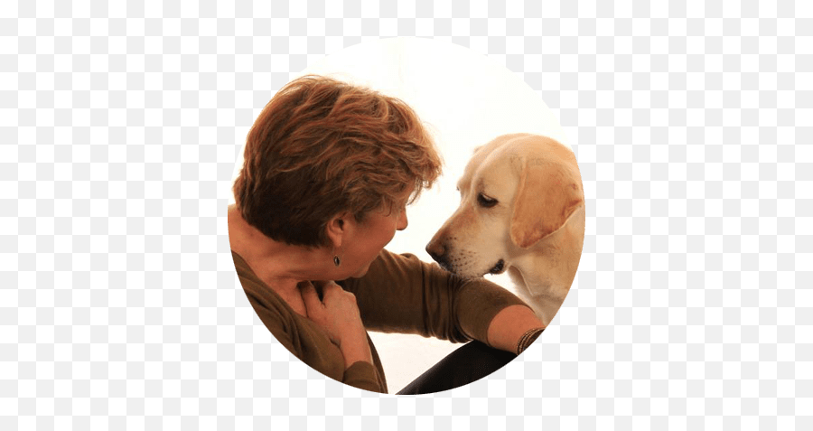 Dog Bite Prevention Webinar Series - Good Dog Pro Labrador Retriever Png,Puppy Love Icon