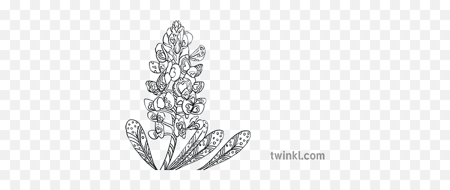 Texas Bluebonnet Foxglove Flower States United Usa Mps Ks2 - Language Png,Blue Bonnet Icon