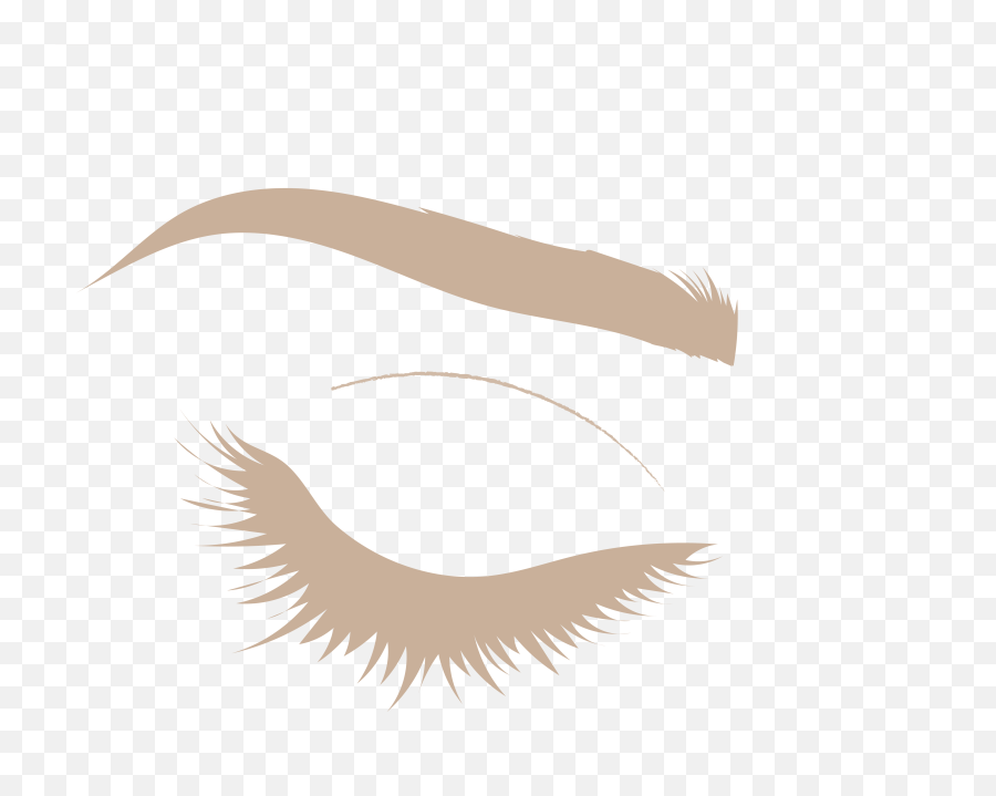 Services - Twig U0026 Arrow Salon Png,Lash Icon