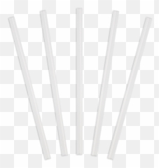 Actives Bottle Straws 5pk - Language png