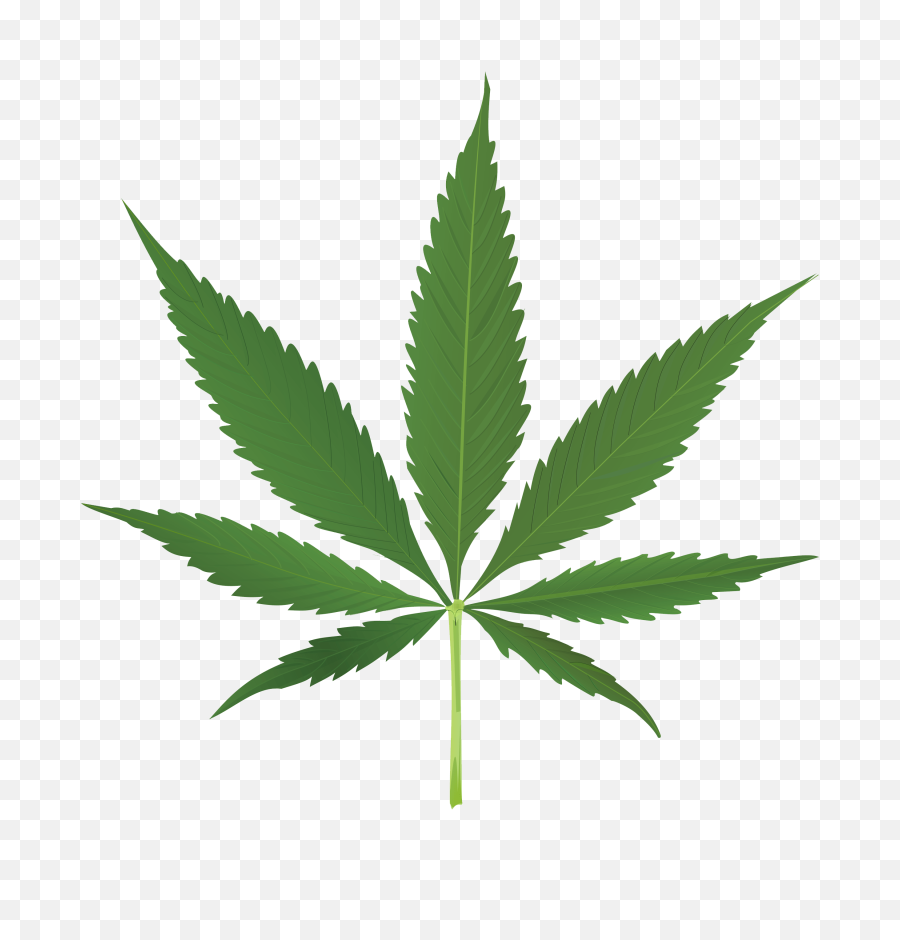 Thug Life Weed Leaf Transparent Png - Transparent Background Marijuana Leaf Png,Weed Transparent Background
