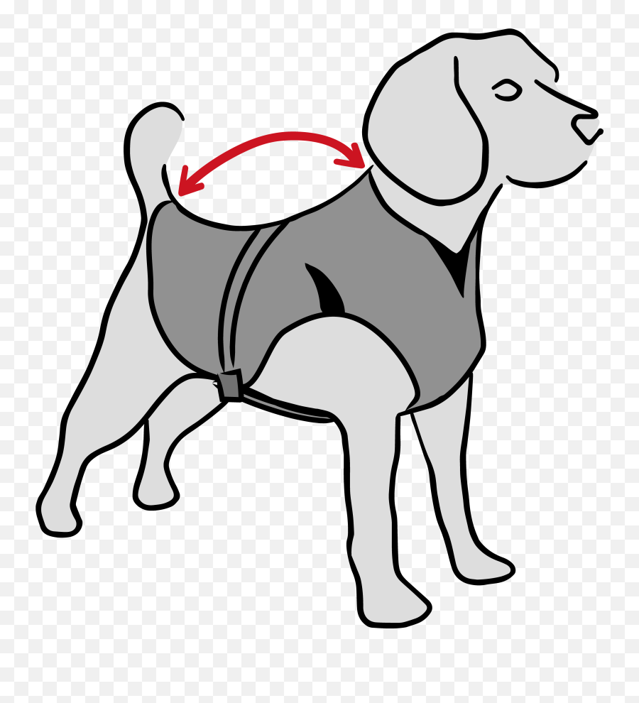 Dry Cooling Vest - Medical Pet Shirts Png,Black Dog Icon