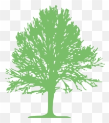 Swamp Spanish Oak Tree Computer Icons Lumberjack Clip Art Png