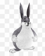 Doge Chungus Png Dogelore - Karen Chungus Anti Vaxx Mom,Big Chungus Png