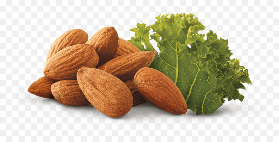 Almond And Kale - Almond Png,Kale Png