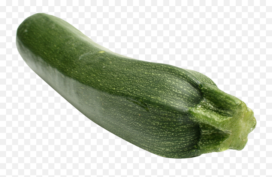 Zucchini Png Free Download Mart - Zucchini Png,Gourd Png