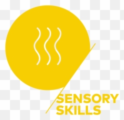 Sensory Skills U2014 Bd Barista School - Sca Sensory Skills Png,Barista Png