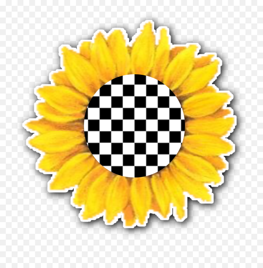 Sunflower Checkers - Borsa Per Sedia A Rotelle Png,Sunflower Logo