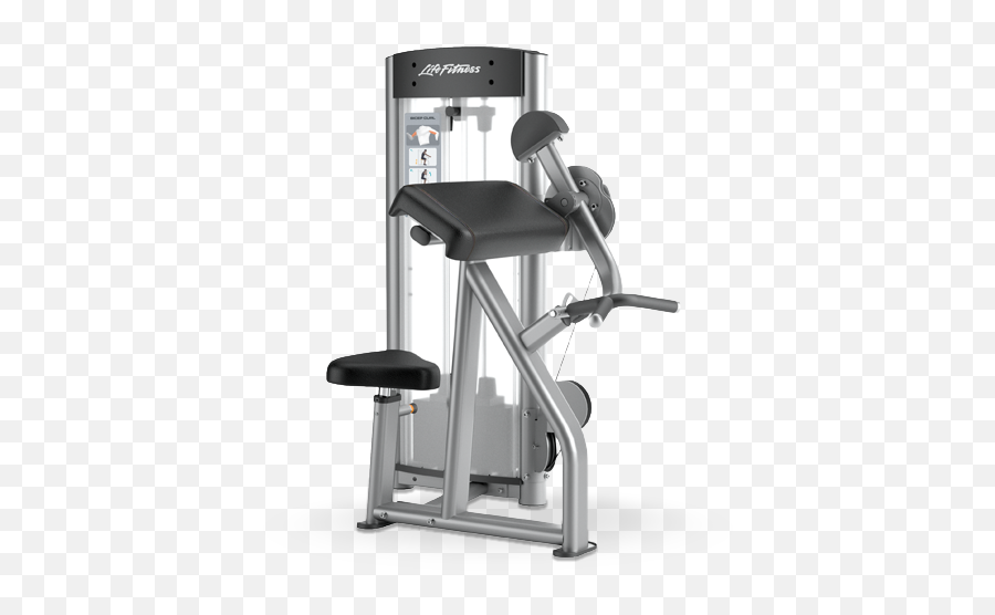 Bicep Curl Osbc - Life Fitness Life Fitness Bicep Curl Machine Png,Bicep Png