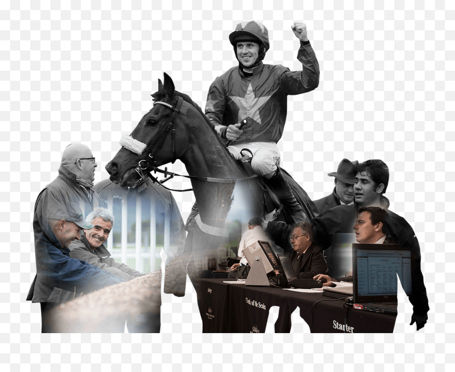 Home - The British Horseracing Authority Transparent Horse Racing Action Png,Horses Png