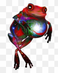 Genesis Frog Ms Paint Adventures Wiki Fandom - Homestuck Frog Png,Frog Png