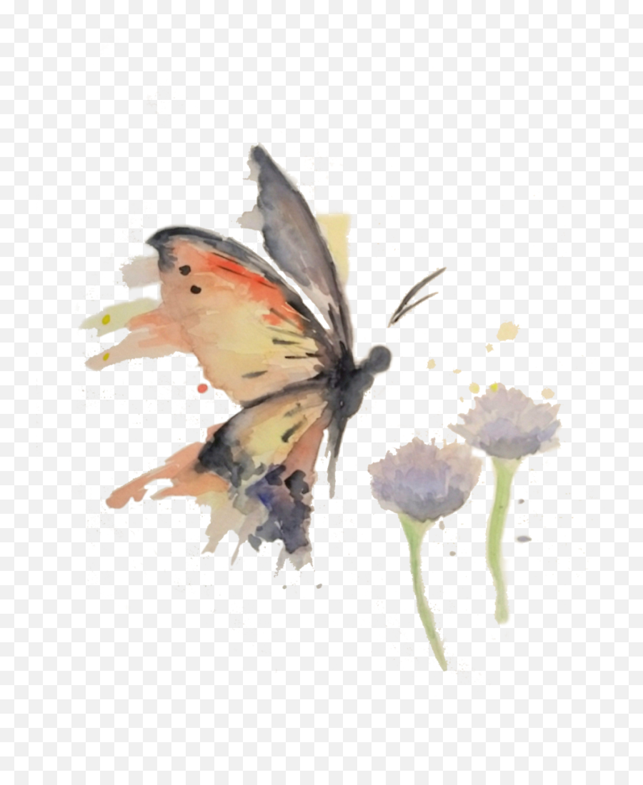 Butterfly Png Image - Watercolor Paint,Watercolor Butterfly Png